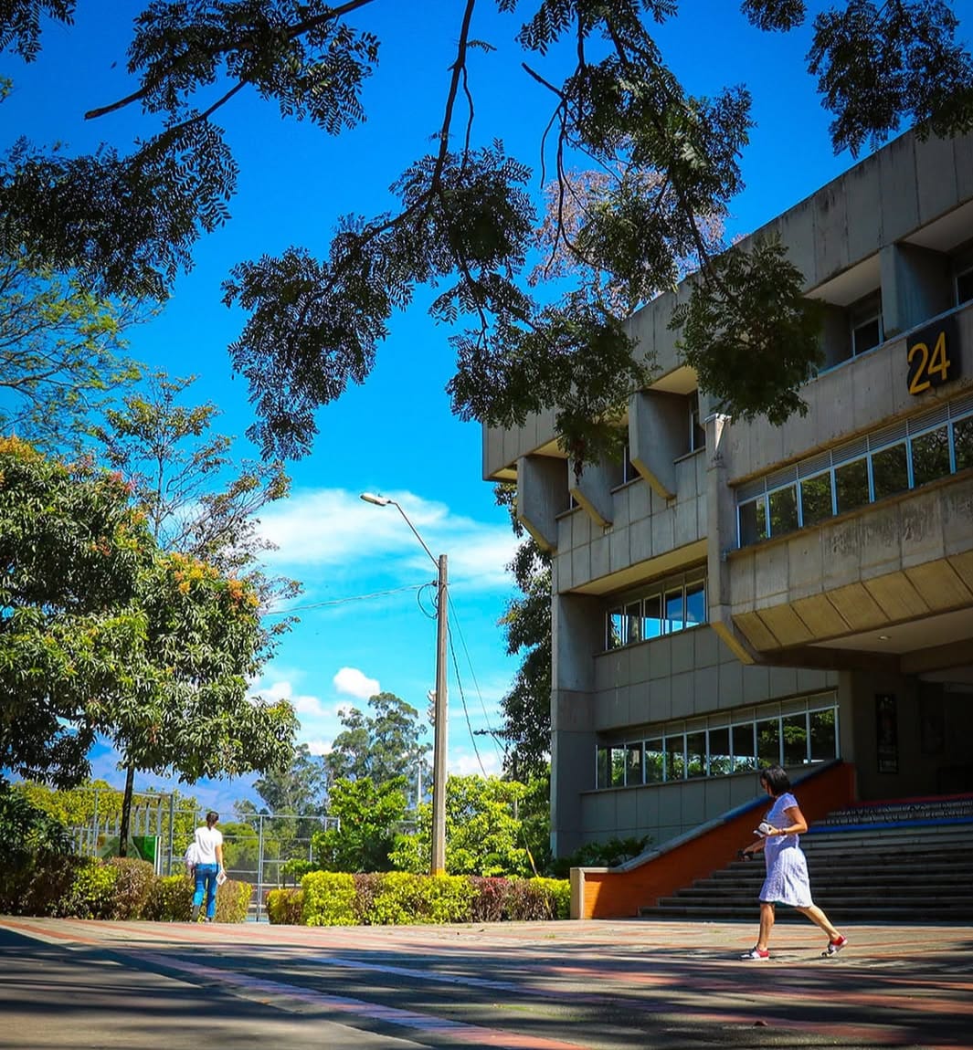 bloque 24