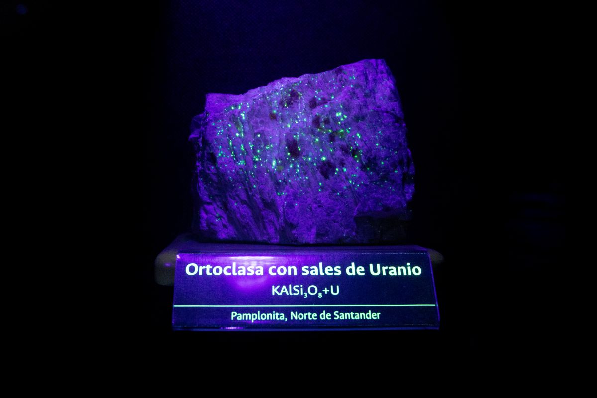 Imagen 3